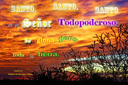 17948   Santo, Santo, Santo