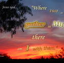 17991   gather in my name 1