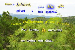 18010   Le Invocare
