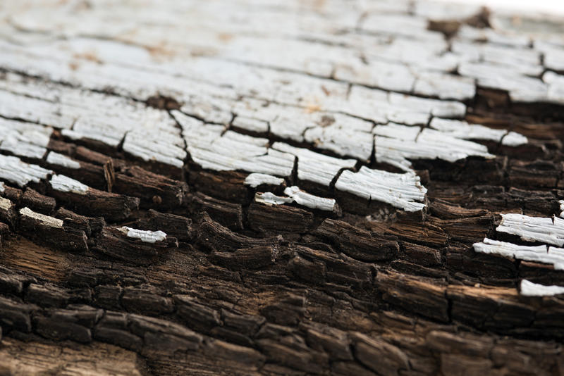 Background texture of painted decaying or rotting wood in a close up selective focus view