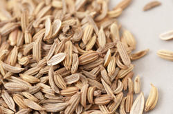 17234   Macro view of loose dried caraway seeds