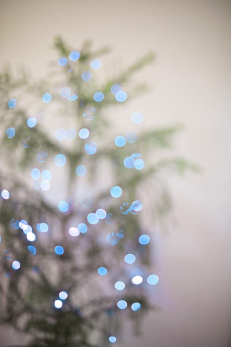 defocused blue coloured lights on a tree creating a festive sparkling background