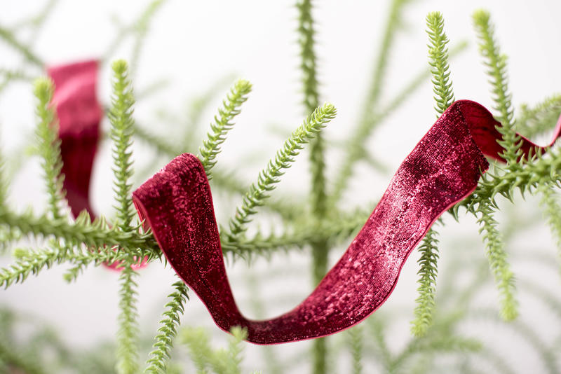 Decorated pine Christmas tree in close up with a red ribbon draped over the branches for a holiday celebration