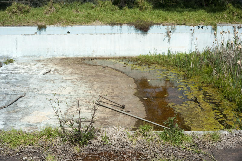 Derelict pool overgrown with grass and slime in rainwater on the bottom of reservoir