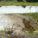 17739   Derelict pool overgrown with grass