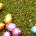 17341   Easter egg hunt background with copy space