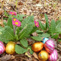 stock image 17350   collection of colorful foil chocolate Easter eggs