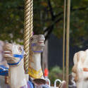 17802   Close up of carousel horses on amusement park ride