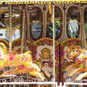 17803   Colourful yellow horses on a fairground carousel