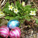 17352   Three colorful foil chocolate Easter eggs