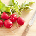 17228   Bunch of fresh crunchy red radishes with leaves