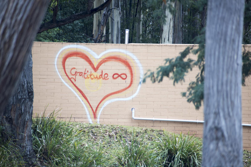 Hand drawn heart with word Gratitude and red ribbon on an exterior brick wall conceptual of thanks to the healthcare services during the Covid-19 pandemic