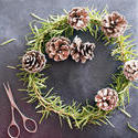 17282   Homemade Christmas wreath with pine foliage