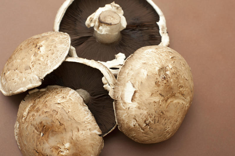 Large fresh raw portobello mushrooms on a brown background for a delicious savory cooking ingredient