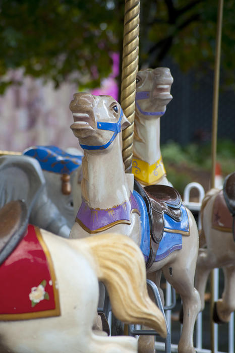 A close up of horses on an empty carousel ride at an amusement park.