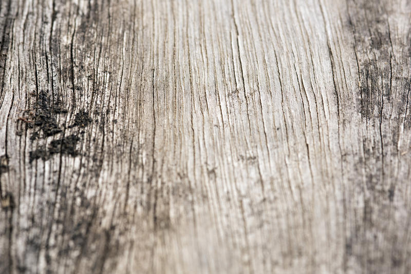 Background texture of old discolored cracked mouldy wood with central copy space in a full frame view