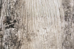 17775   Background texture of old cracked mouldy wood