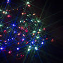 17789   sparkling fairy lights