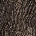 17777   Wavy undulating ridged wood background texture