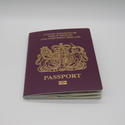 17310   Passport for the UK and Northern Ireland