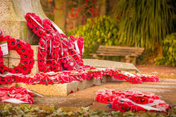 17566   Poppy Day at a World War One and Two memorial