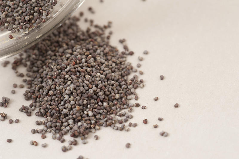 Heap of scattered dried poppy seeds for use as an ingredient in cooking and baking or a garnish