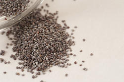 17253   Heap of scattered dried poppy seeds