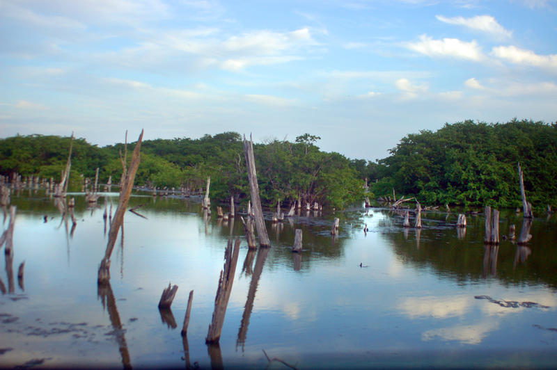 <p>waters of punta chame, panama</p>
