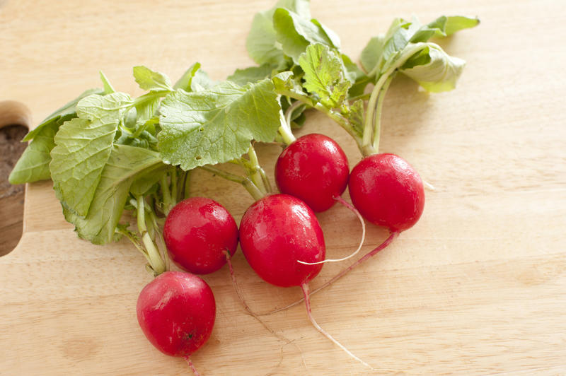 Crispy fresh red radish with leaves ready for a summer salad on a wooden kitchen table with copy space