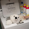 stock image 17414   Person sanitizing kids toys in a washing machine