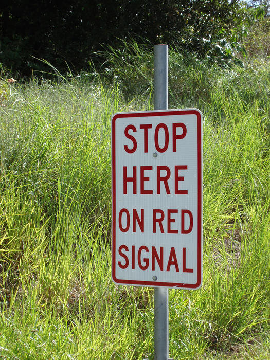 Traffic sign - Stop Here On Red Signal - on a metal pole on the roadside against a grassy verge
