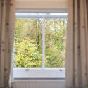 stock image 17413   Stuck at Home concept staring out of a window