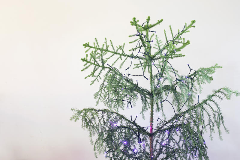a plainly decorated christmas tree with purple festive twinkle lights