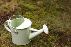 17838   Small watering can on the ground