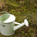 17838   Small watering can on the ground