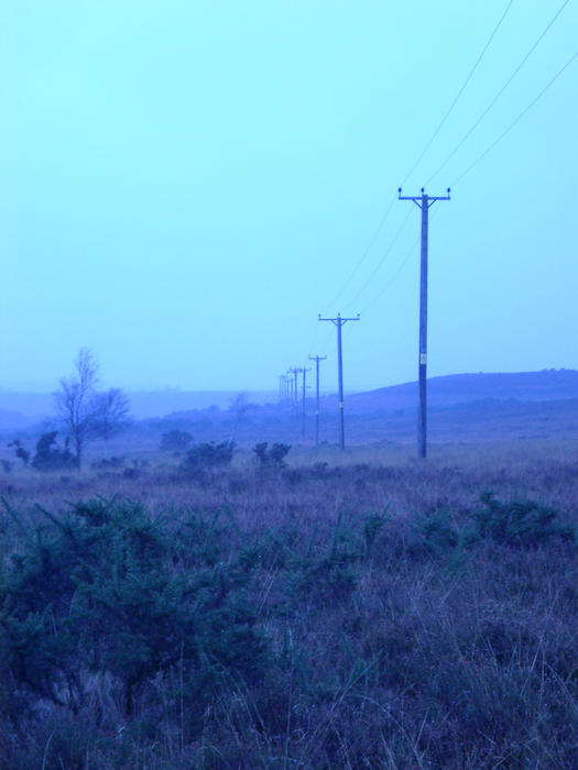 a moody blue looking dusk scene on a remote moorland, concept: distance