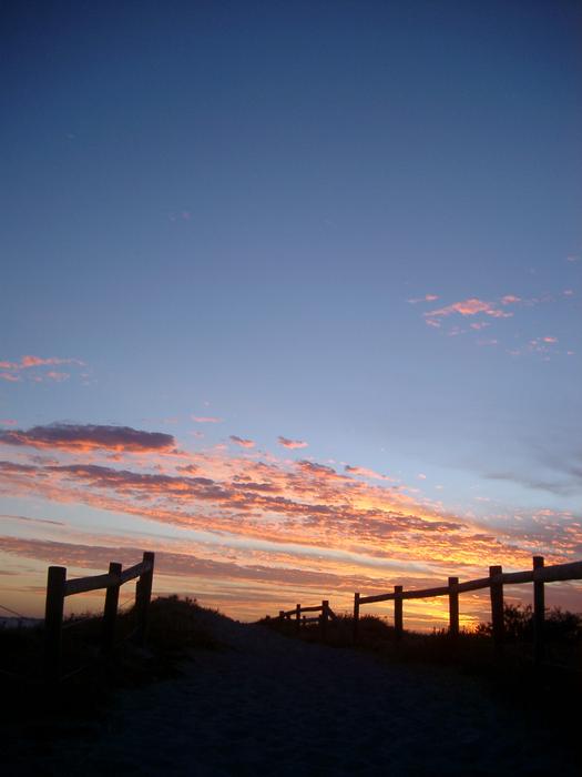 fence sunset silhouette, sand dunes near perth, WA.