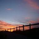 80-fence_sunset_silhouette_9368.JPG