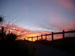 81-fence_sunset_silhouette_9376.JPG