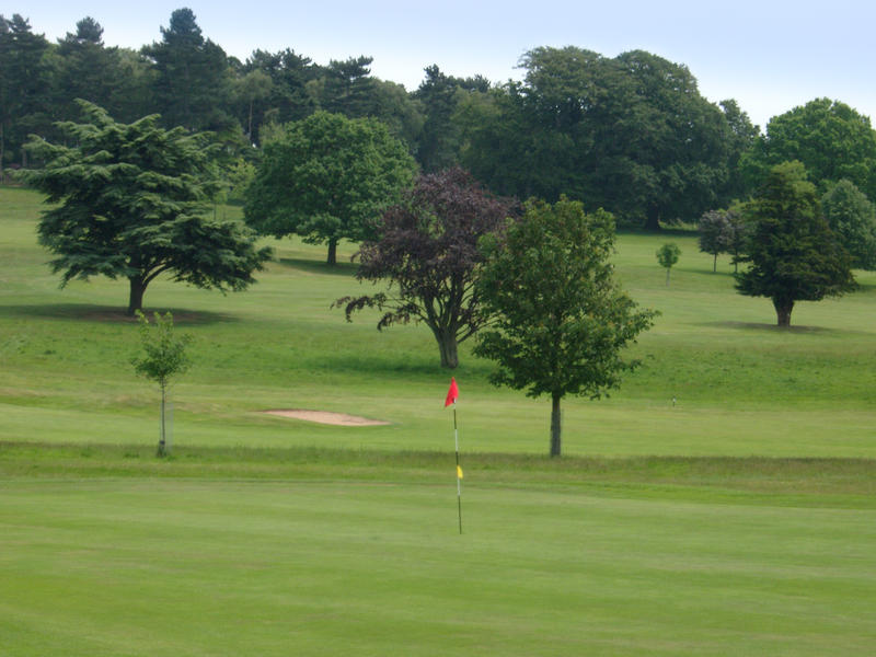a green and marker flag on a british gold course