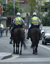514   mounted police