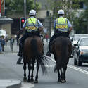 514   mounted police