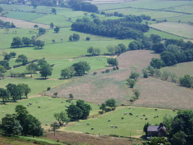 a view of a patchwork of fields in the english peak district from mam torr. Arable farmland