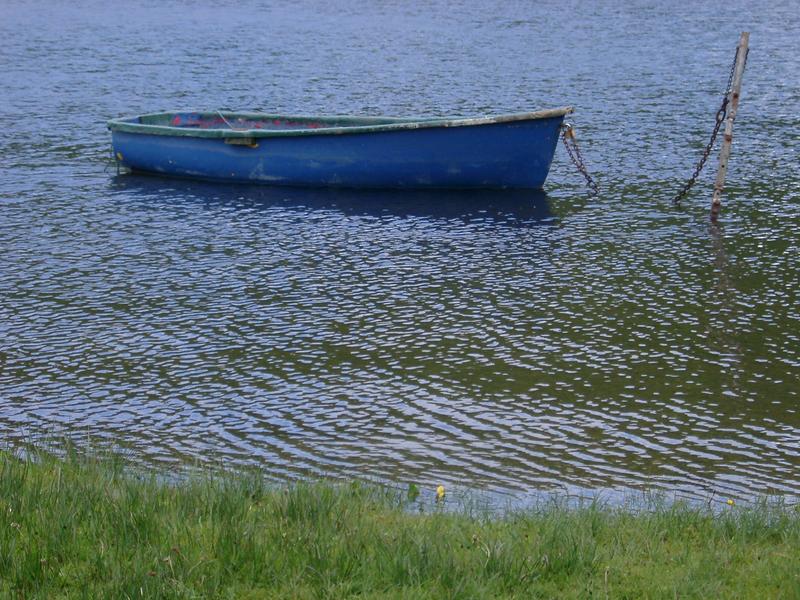 a blue rowing boat chained at the side of a lake
