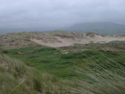 67-sand dune