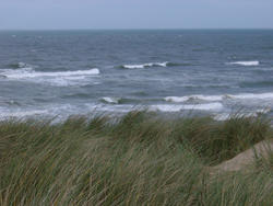 68-sand dune