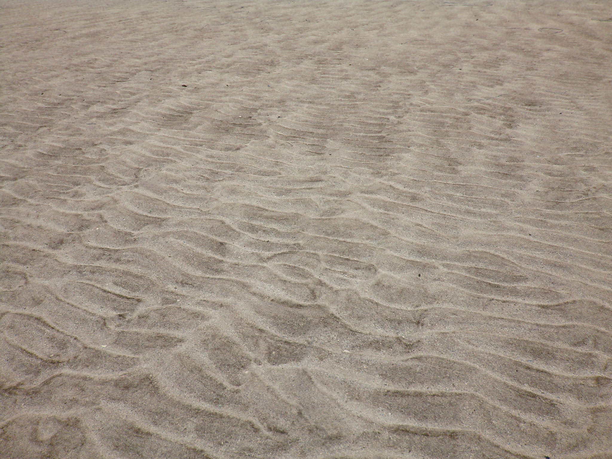 Free Stock Photo 190-sand_ripples_3751.jpg | freeimageslive
