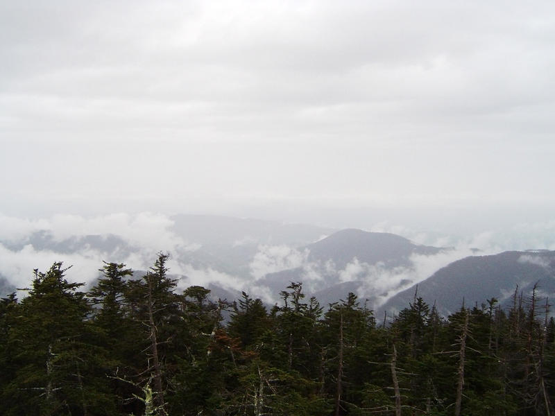 a generic wilderness alpine mountain view