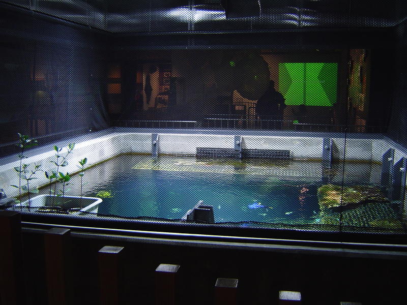 top of a large aquarium tank