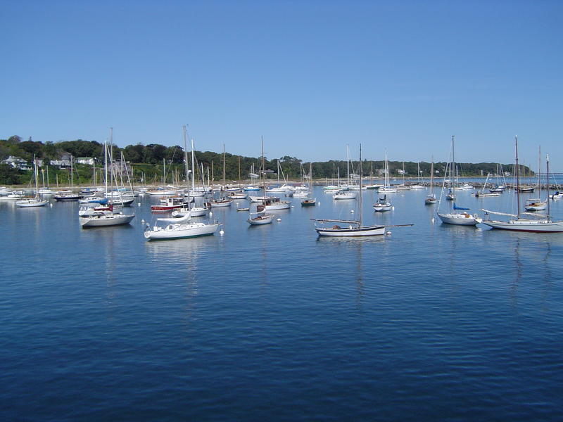 boats in a small town harbour